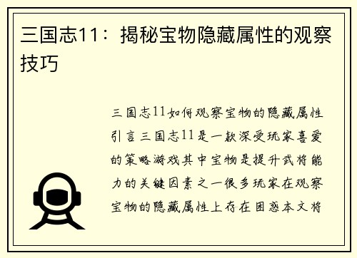 三国志11:揭秘宝物隐藏属性的观察技巧